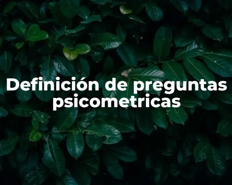 Definición de preguntas psicometricas