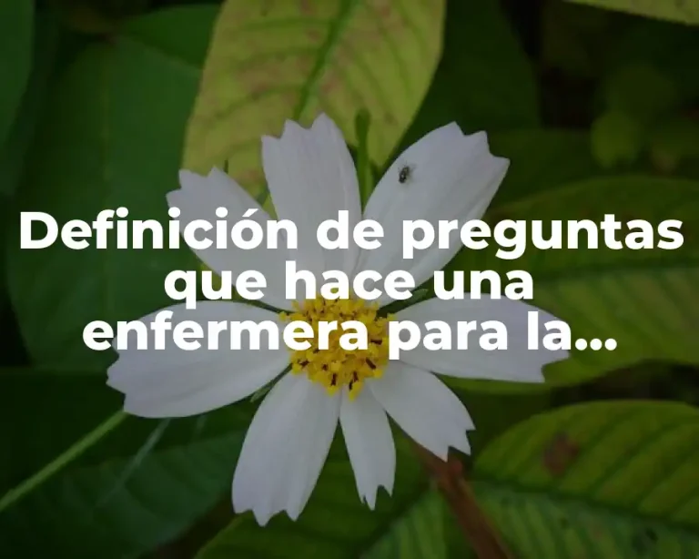 Definición de preguntas que hace una enfermera para la valoración