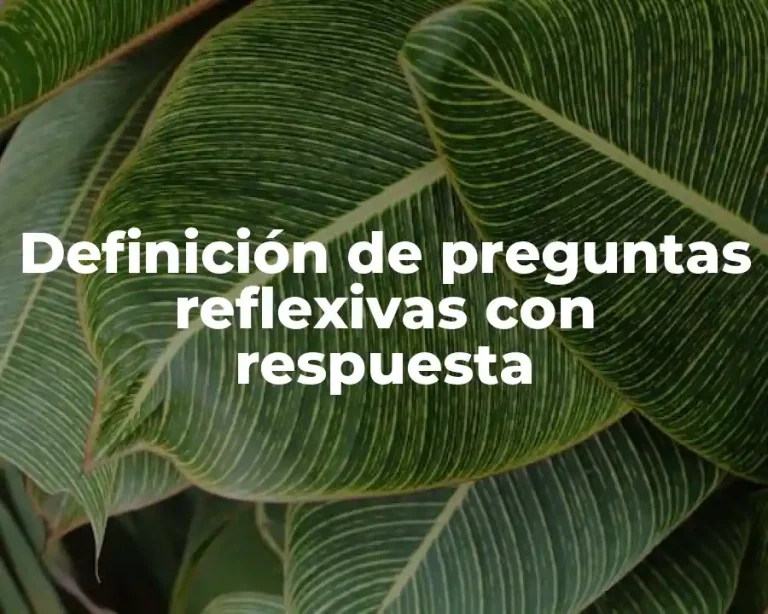 Definición de preguntas reflexivas con respuesta