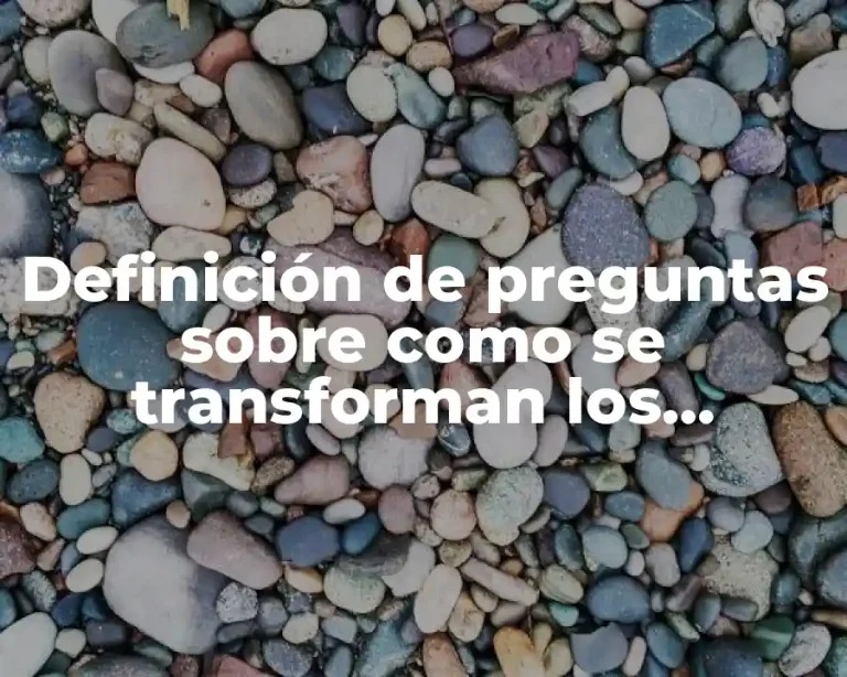 Definición de preguntas sobre como se transforman los recursos naturales