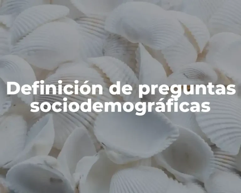 Definición de preguntas sociodemográficas