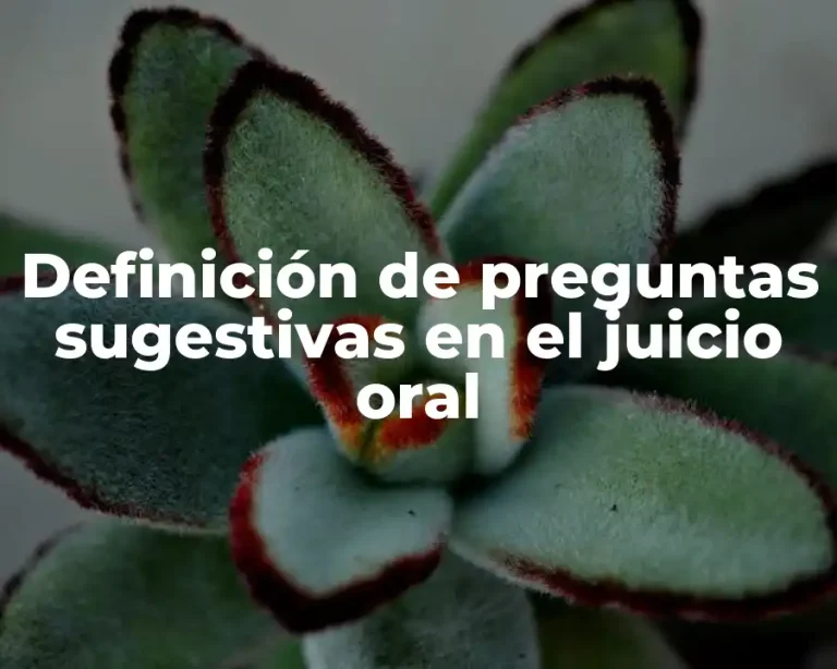 Definición de preguntas sugestivas en el juicio oral