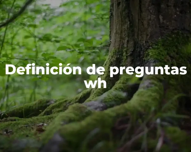 Definición de preguntas wh