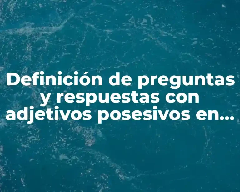 Definición de preguntas y respuestas con adjetivos posesivos en inglés