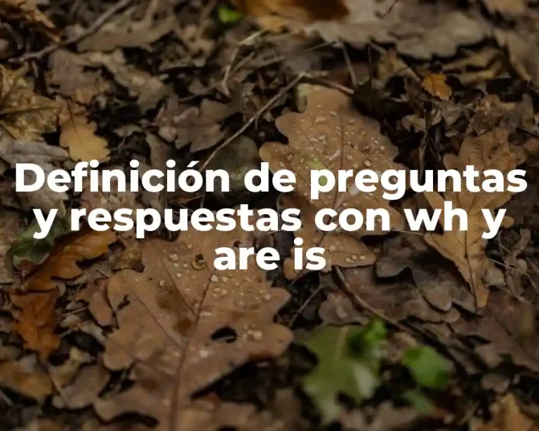 Definición de preguntas y respuestas con wh y are is