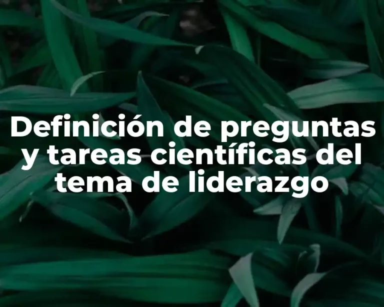 Definición de preguntas y tareas científicas del tema de liderazgo
