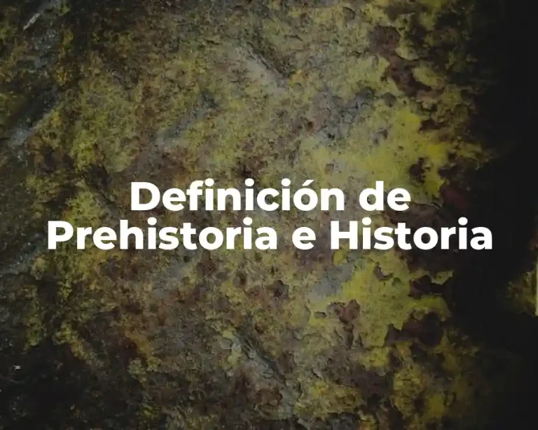 Definición de Prehistoria e Historia