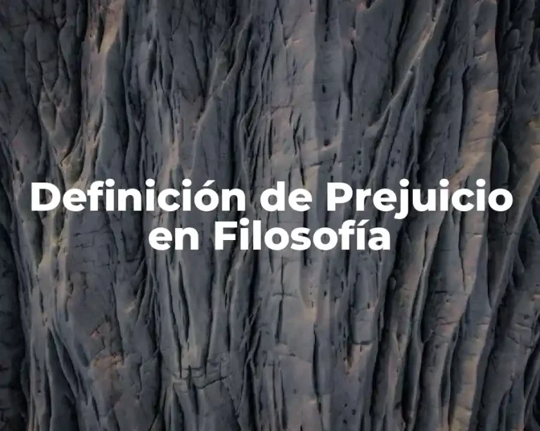 Definición de Prejuicio en Filosofía