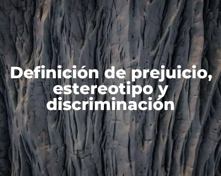Definición de prejuicio, estereotipo y discriminación