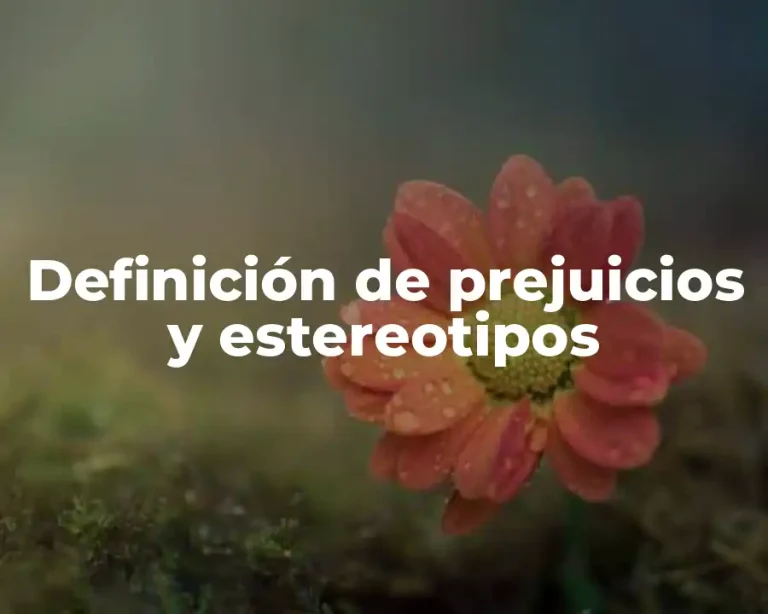 Definición de prejuicios y estereotipos