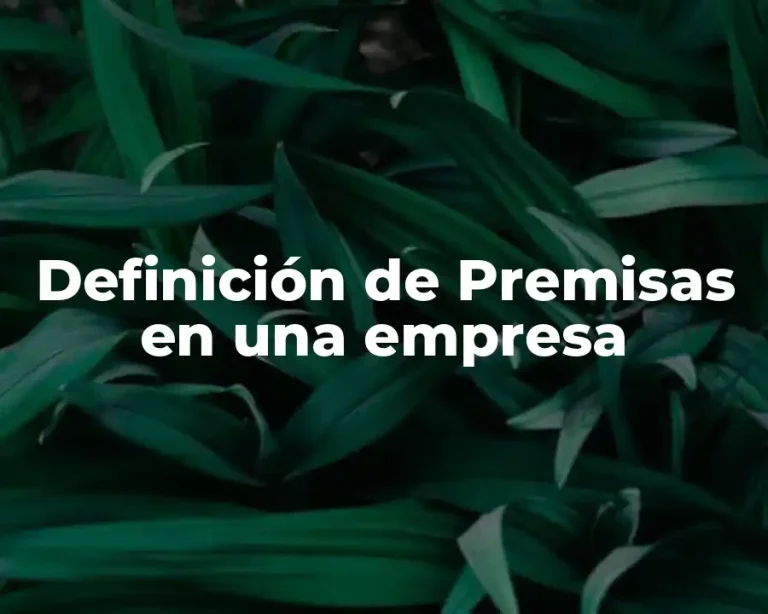 Definición de Premisas en una empresa