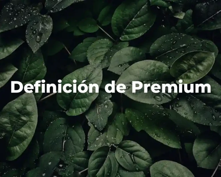 Definición de Premium