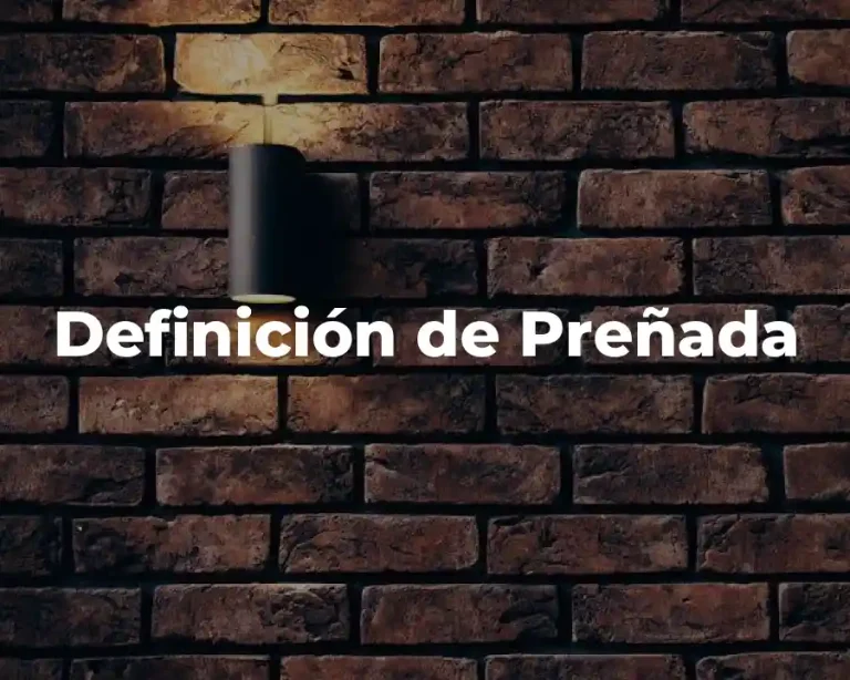 Definición de Preñada
