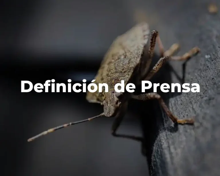 Definición de Prensa