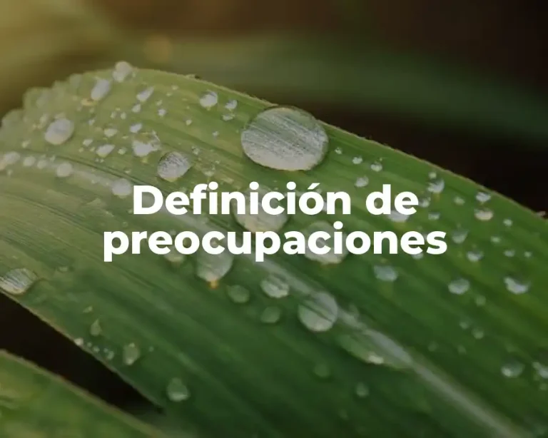 Definición de preocupaciones