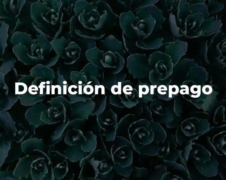Definición de prepago