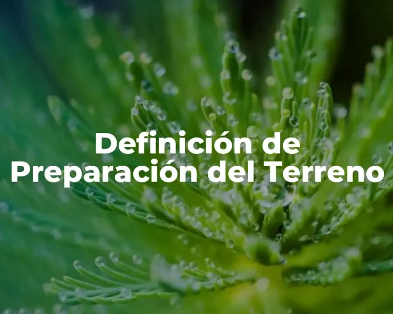 Definición de Preparación del Terreno