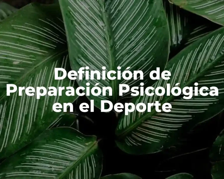 Definición de Preparación Psicológica en el Deporte