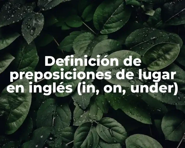 Definición de preposiciones de lugar en inglés (in, on, under)
