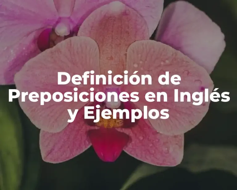 Definición de Preposiciones en Inglés y Ejemplos