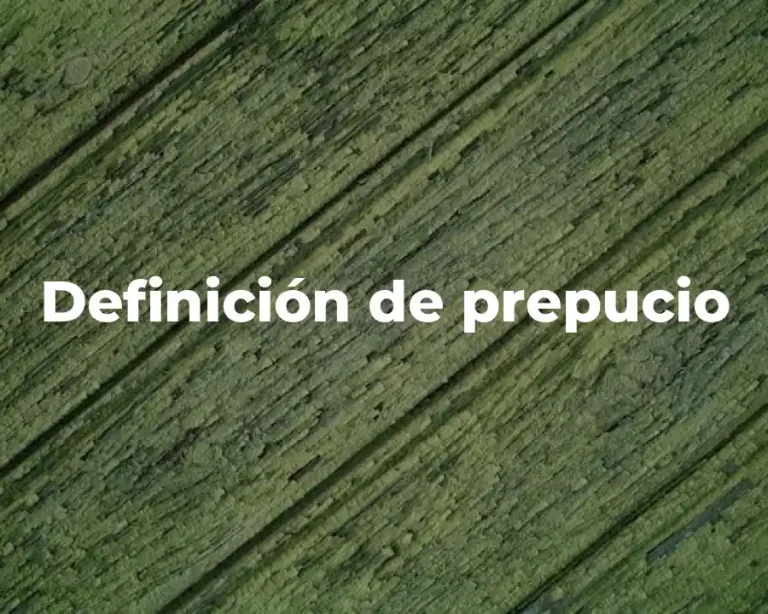 Definición de prepucio