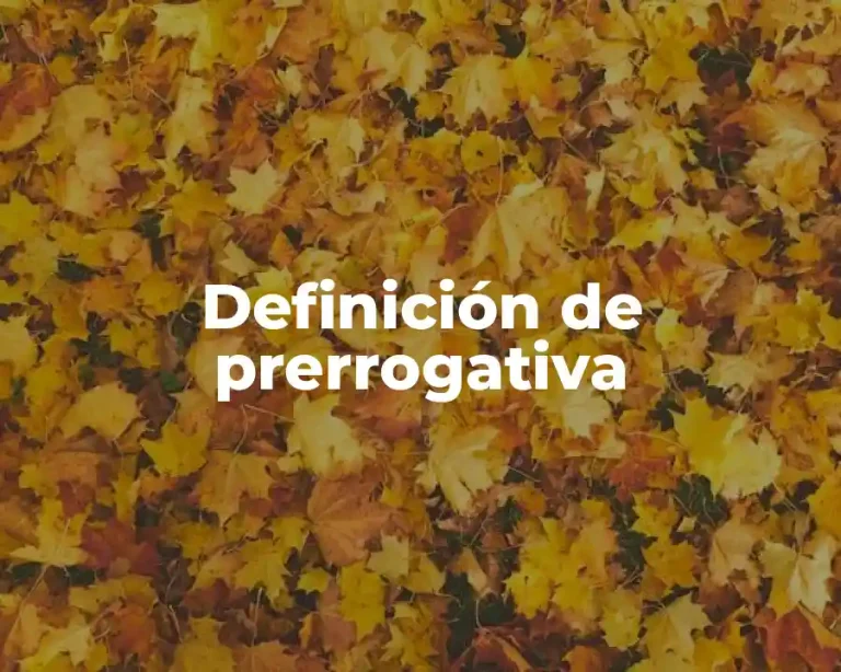 Definición de prerrogativa