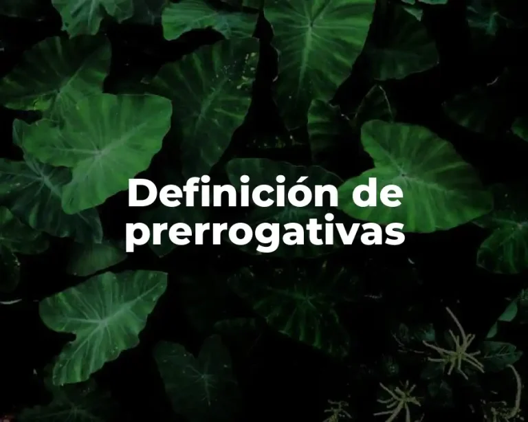 Definición de prerrogativas