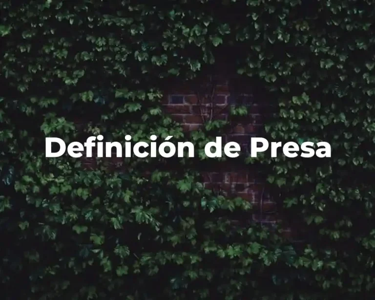 Definición de Presa