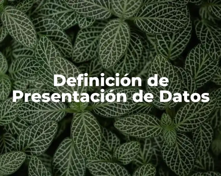 Definición de Presentación de Datos