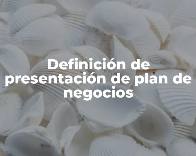 Definición de presentación de plan de negocios