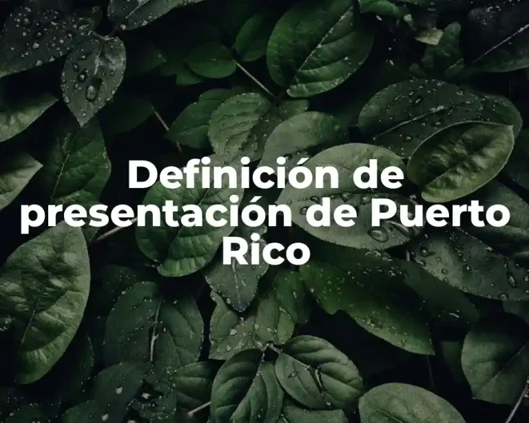 Definición de presentación de Puerto Rico