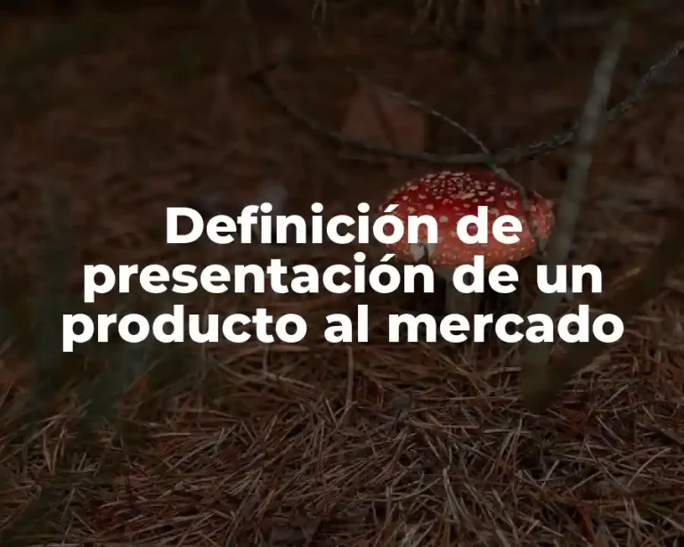 Definición de presentación de un producto al mercado