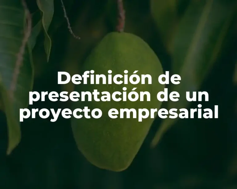 Definición de presentación de un proyecto empresarial