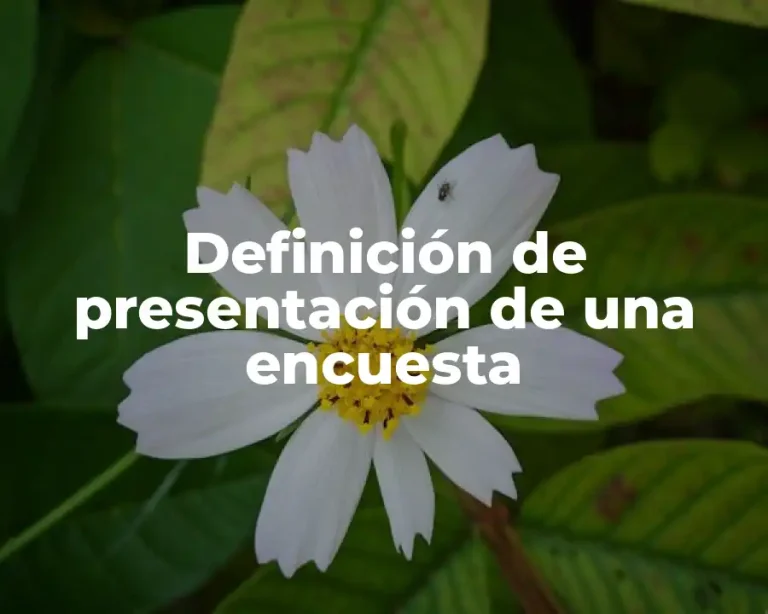Definición de presentación de una encuesta