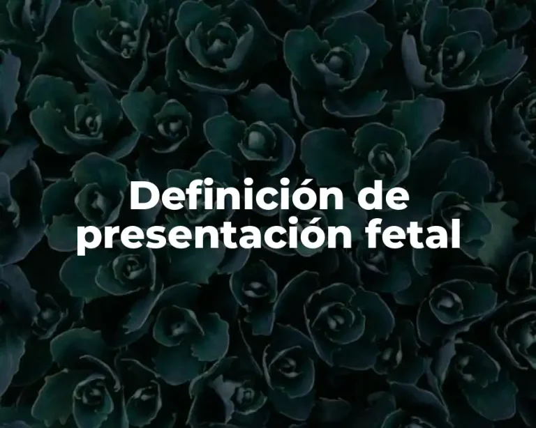 Definición de presentación fetal