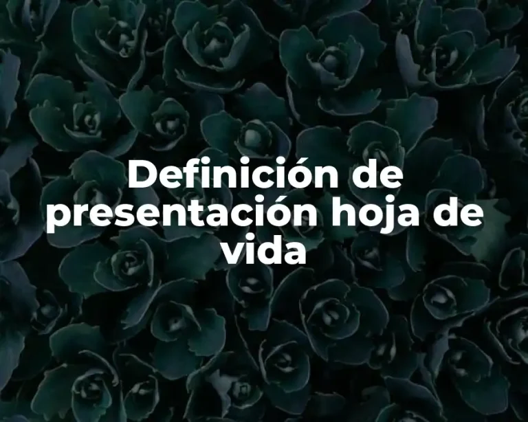 Definición de presentación hoja de vida