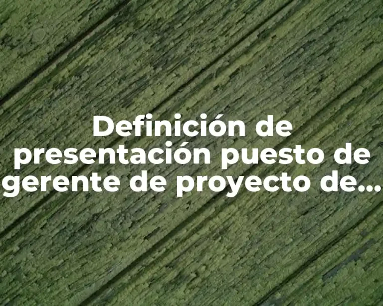 Definición de presentación puesto de gerente de proyecto de construcción