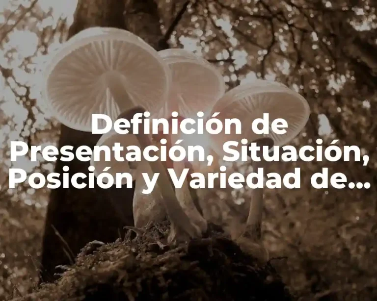 Definición de Presentación, Situación, Posición y Variedad de Posición