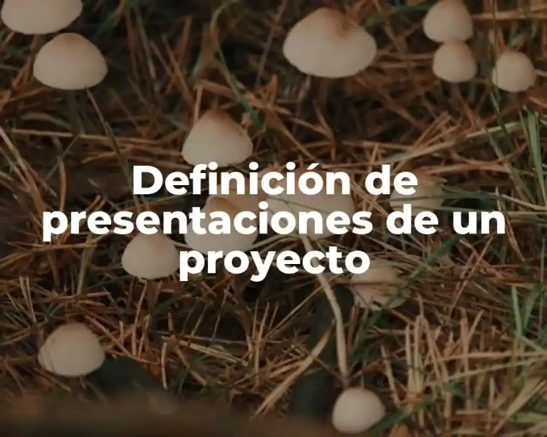 Definición de presentaciones de un proyecto