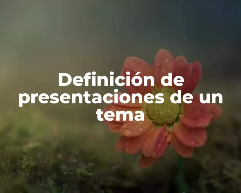 Definición de presentaciones de un tema