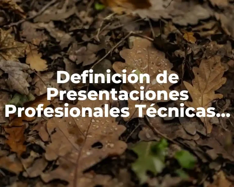 Definición de Presentaciones Profesionales Técnicas (PPTs)