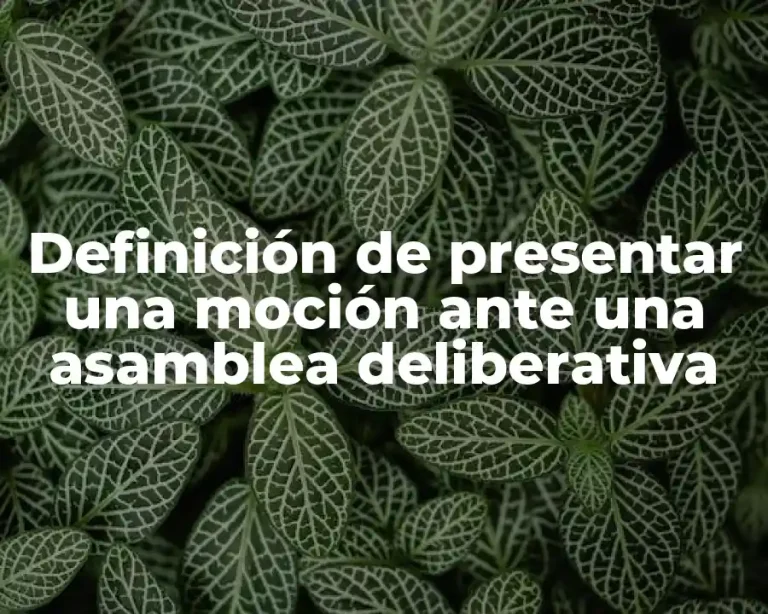 Definición de presentar una moción ante una asamblea deliberativa