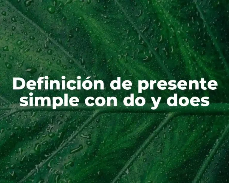 Definición de presente simple con do y does