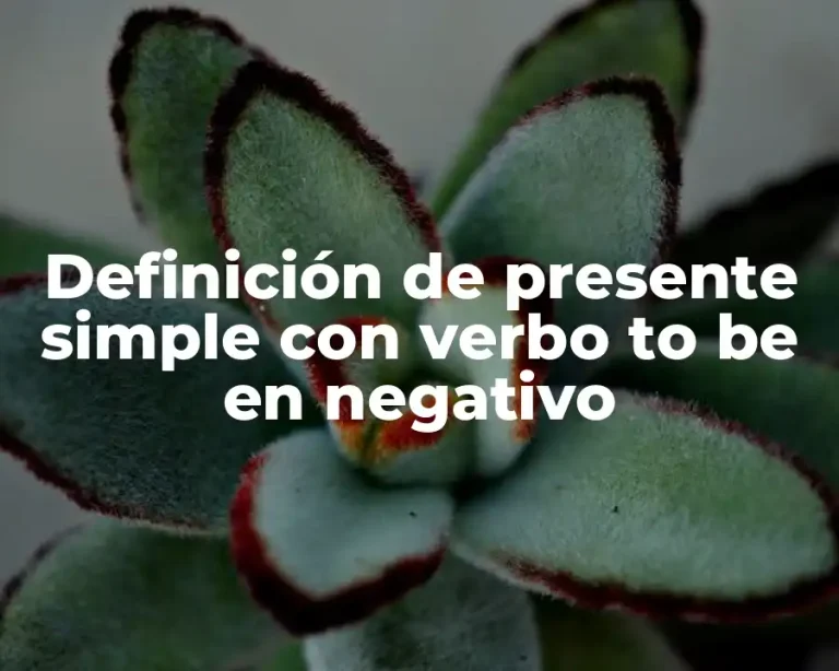 Definición de presente simple con verbo to be en negativo