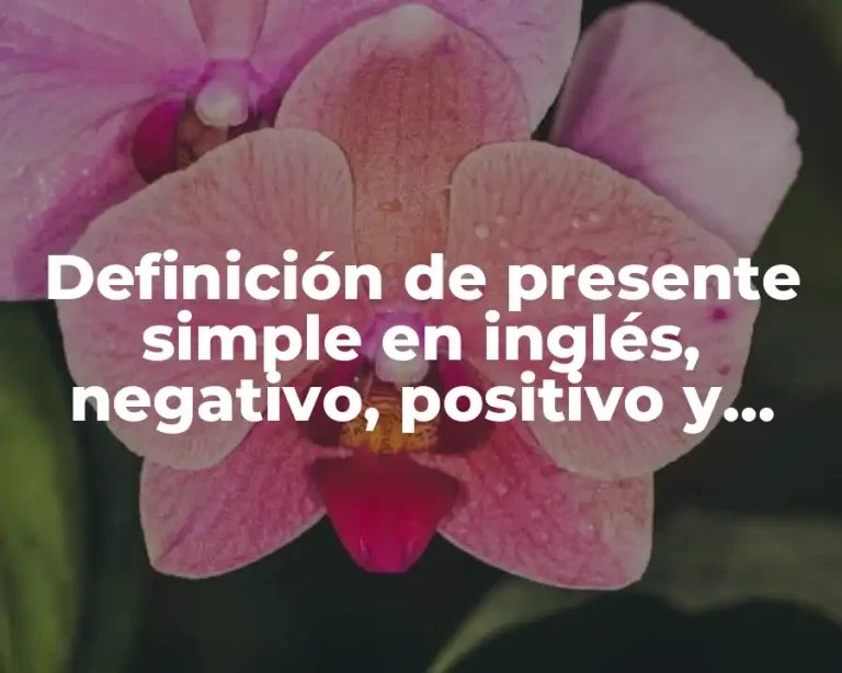 Definición de presente simple en inglés, negativo, positivo y interrogativo