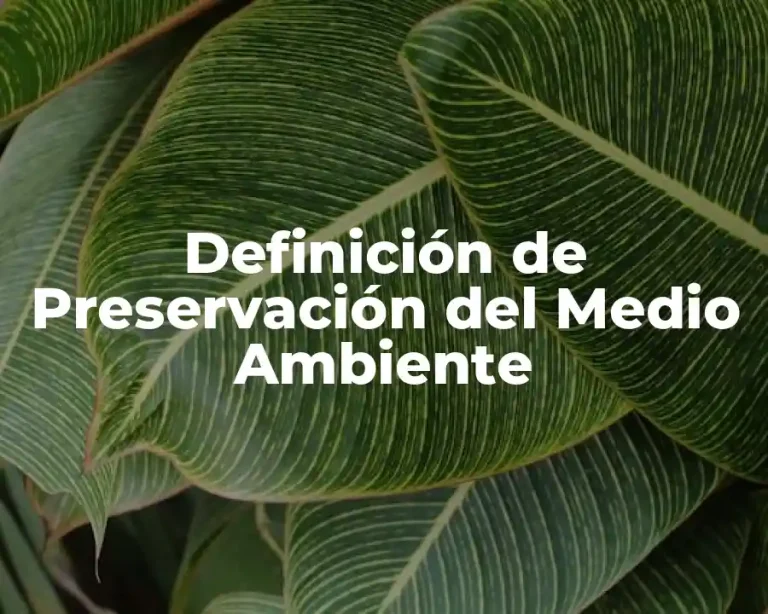 Definición de Preservación del Medio Ambiente