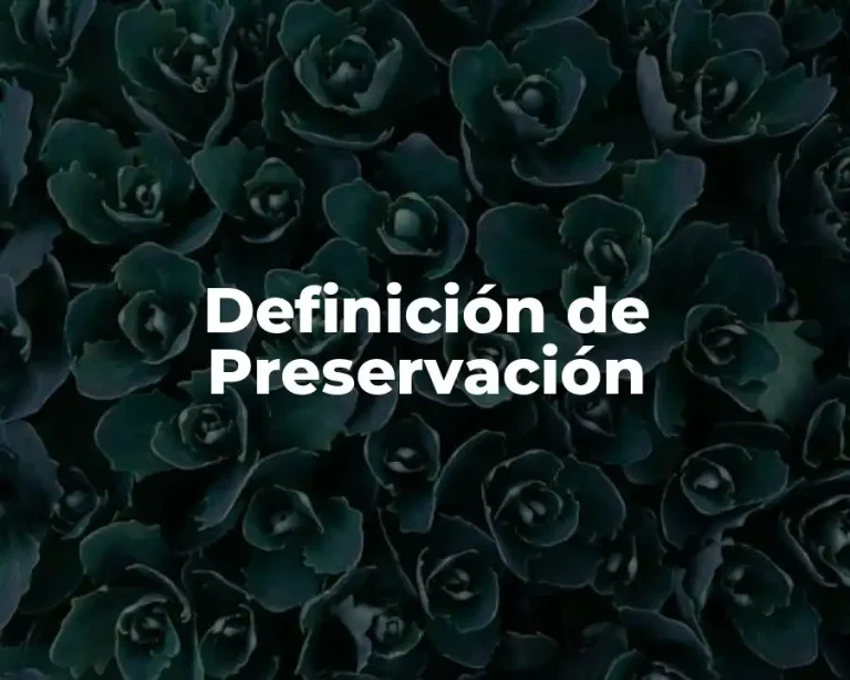 Definición de Preservación