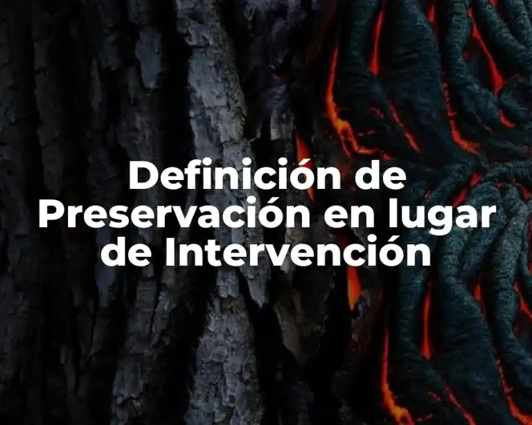 Definición de Preservación en lugar de Intervención