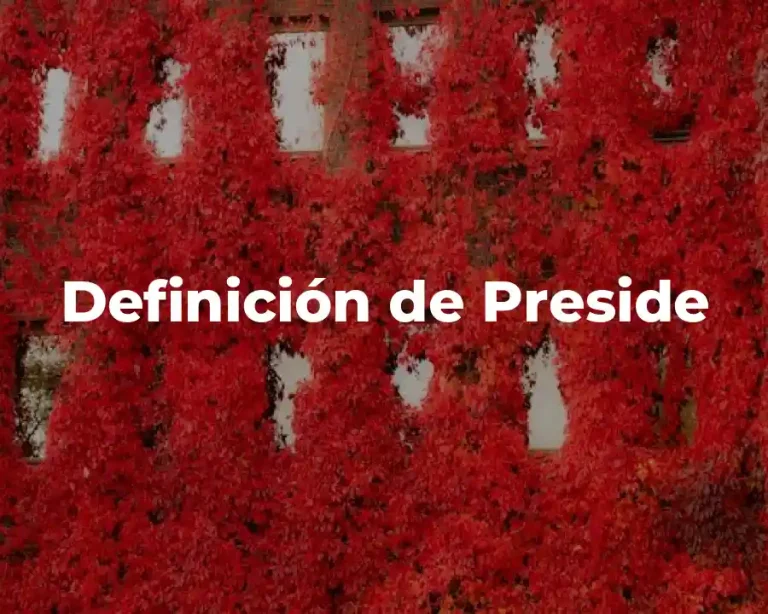 Definición de Preside