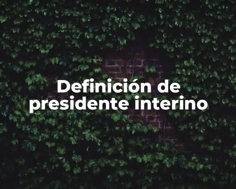Definición de presidente interino